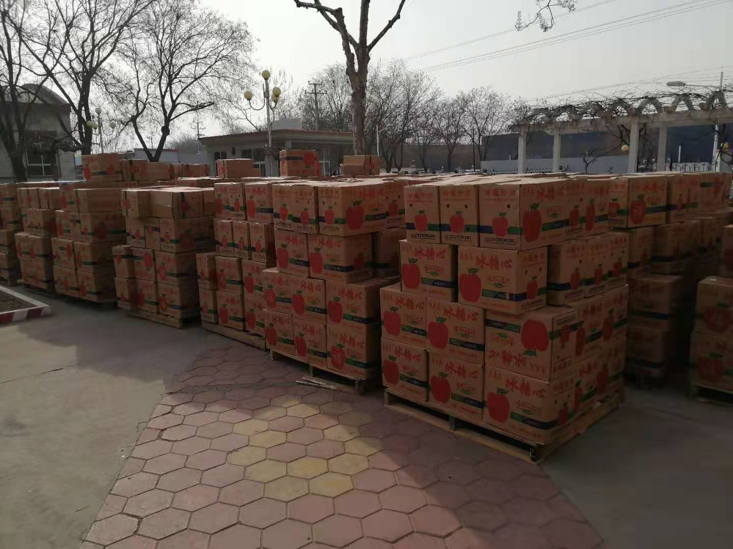 心系员工 温暖新春 力科公司为全体员工发放春节福利